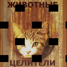  Животные-целители Дружинин С.  - Biblion.shop 