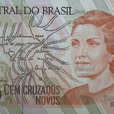 Банкнота 100 новых крузейро, Бразилия ( 1989 г) - Biblion.shop 