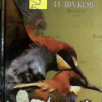 "В мире запахов и звуков ."Занимательная оториноларингология" Рязанцев Сергей  - Biblion.shop 