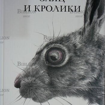 "Заяц и кролики" Тимоте Ле Веэль - Biblion.shop 